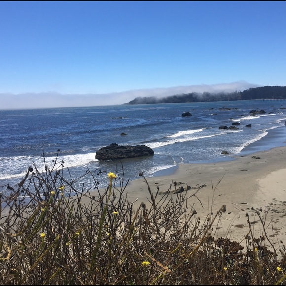 Meet your Posher, Shantel - Picture 1 of 1